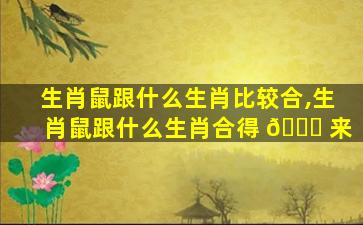 生肖鼠跟什么生肖比较合,生肖鼠跟什么生肖合得 🐒 来